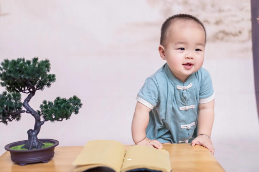 庆阳可爱的企鹅宝宝